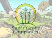 Jelang Ukur Ulang Lahan PT SGC, Warga Bakung Ilir dan Aliansi Tiga LSM Lampung Siap Geruduk Jakarta