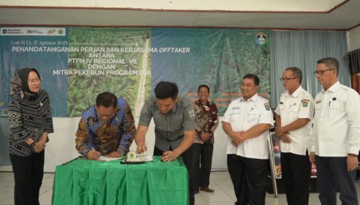 PTPN IV Regional VII Dukung Petani Sawit Lewat Kemitraan Offtaker dan Program PSR di Muara Enim