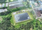 Rp150 Ribu Bisa Ikut Selamatkan Lingkungan Lewat Kredit Karbon PalmCo