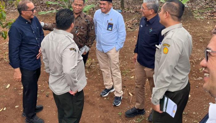 PTPN I Regional 7 Mantap Dukung Hilirisasi Perkebunan, Fokus pada Kelapa, Kakao, dan Kopi