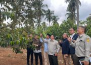 Hilirisasi Perkebunan Jadi Misi Nasional, PTPN I Pegang Peran Strategis