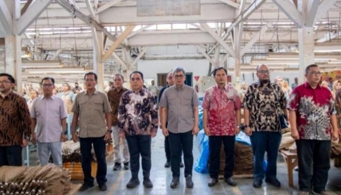 PTPN I Gaspol Hilirisasi! Direktur Keuangan Tinjau Kebun Cerutu Jember, Suntik Semangat Naikkan Kinerja Nasional