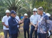 Dubes Uni Eropa Puji PTPN IV PalmCo: Selaras dengan Hilirisasi dan Sawit Berkelanjutan