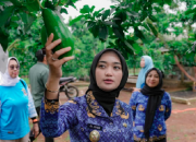 2.000 Warga Lampung Timur Pecahkan Rekor MURI Makan Alpukat Siger Bareng Wagub Jihan