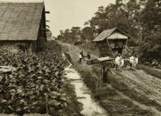 PTPN I dan Dinamika Kota Medan: Antara Sejarah Perkebunan dan Optimalisasi Aset