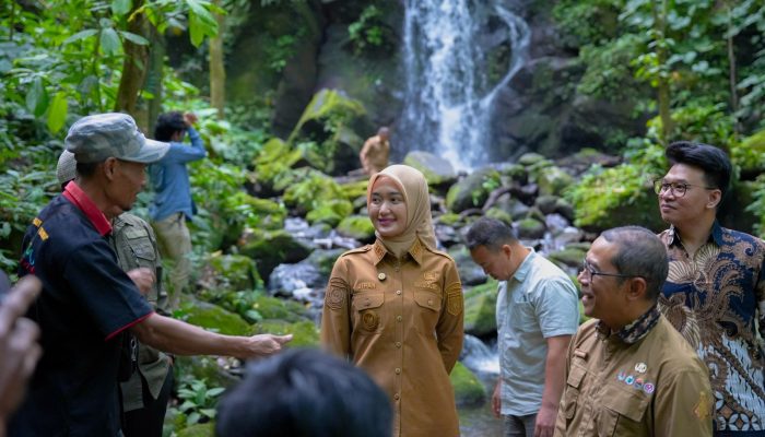 Wagub Lampung Optimalkan Nilai Ekonomi Karbon Lewat Perhutanan Sosial Way Kalam