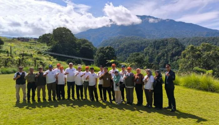 PTPN I dan Menko PMK Bergerak Serentak Tanam Ribuan Pohon di Puncak