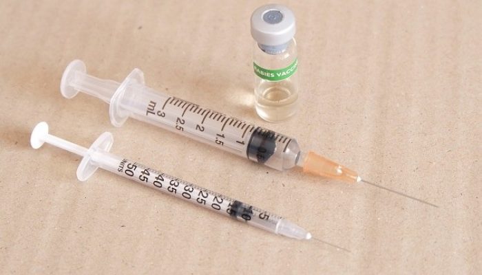 Stok Vaksin Rabies di Bandar Lampung Langka, Netizen Ramai Kritik: Pemerintah Klaim Nol Kasus