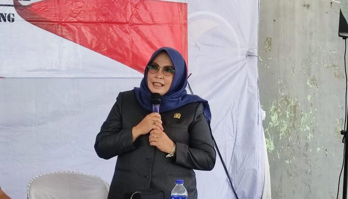 Misgustini: Pilkada Lewat DPRD Jadi Solusi Tekan Korupsi di Lampung