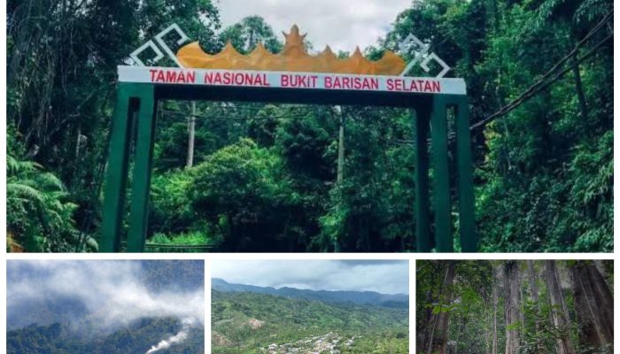 Menata Ulang Paru-Paru Lampung: Tantangan Berat Gubernur Rahmat Mirzani Djausal di Kawasan TNBBS Warisan Masalah yang Tak Kunjung Usai