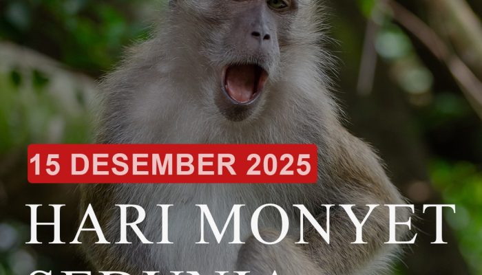Hari Monyet Sedunia: Dari Lelucon Kampus ke Alarm Global Krisis Primata Sumatera