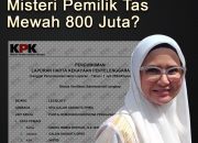 Kejati Lampung Sita 40 Tas Mewah Rp800 Juta, LHKPN Bupati Pesawaran Tak Ada Tas Mewah