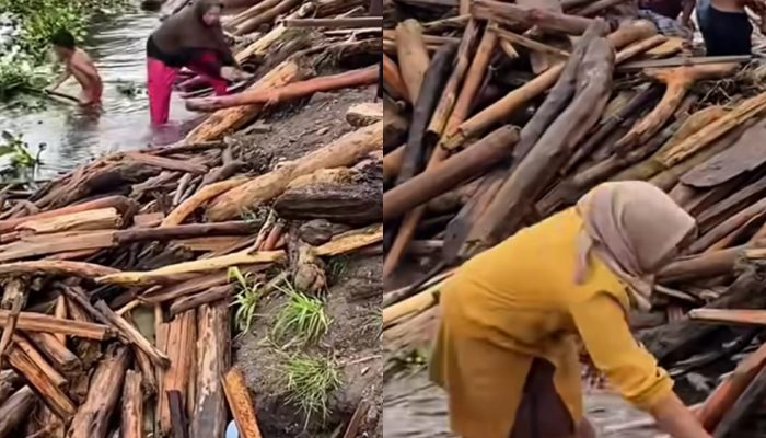 Demi Api Dapur Tetap Menyala, Warga Takengon Pakai Kayu Basah di Sungai jadi Kayu Bakar