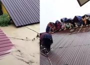 Sebulan Berlalu, Warga Aceh Tamiang Ini Ceritakan Momen 18 Orang Naik ke Atap Rumah saat Banjir Datang