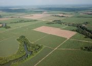 HGU SGC Dicabut, TNI AU Ambil Alih 85 Ribu Hektare Lahan Buat Latihan Perang