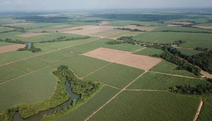 HGU SGC Dicabut, TNI AU Ambil Alih 85 Ribu Hektare Lahan Buat Latihan Perang