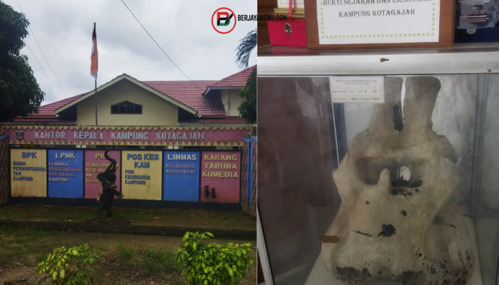 Jejak Gajah di Tanah Transmigrasi: Kisah Asal-Usul Nama Kotagajah di Kabupaten Lampung Tengah