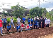 Mahasiswa Unila Sulap Lahan Terbengkalai Jadi Kebun Sayur di SMAN 9