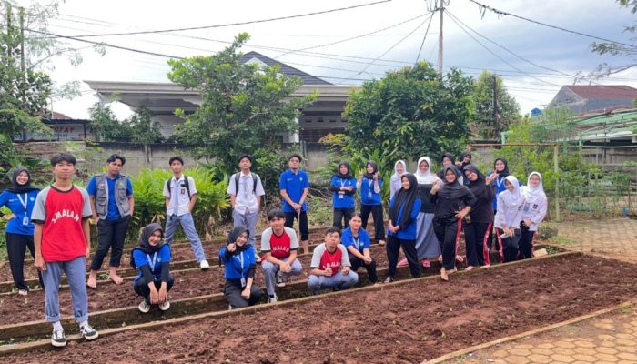 Mahasiswa Unila Sulap Lahan Terbengkalai Jadi Kebun Sayur di SMAN 9