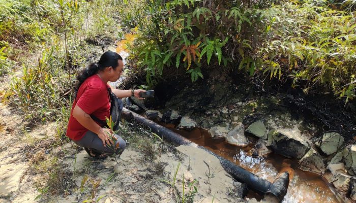 Dana Pemulihan Rp4,6 Triliun Mengendap, Limbah B3 di Tahura Riau Masih Mencemari Habitat Gajah