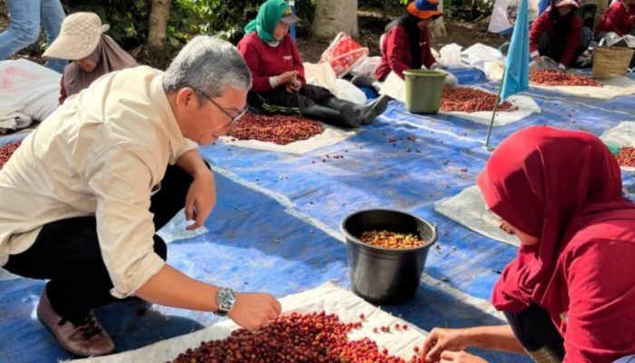 Transformasi PTPN I: Tinggalkan Model Konvensional, Bidik Kejayaan Agribisnis Modern 2029