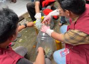 Mahasiswa KKN Unila Dorong Pangan Mandiri Lewat BULEGA & POC