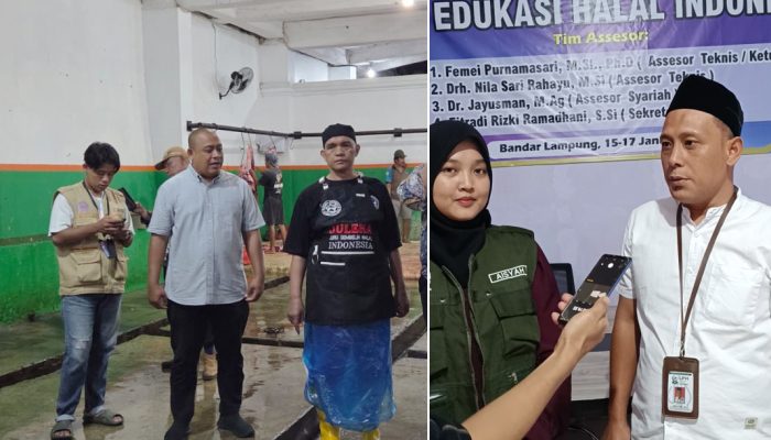 LPH Edukasi Halal Indonesia Sukses Fasilitasi Sertifikasi Halal Metode ‘Stunning’ Sapi di Lampung