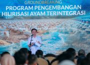 Investasi Rp600 Miliar, Lampung Jadi Pusat Hilirisasi Ayam Terintegrasi Nasional