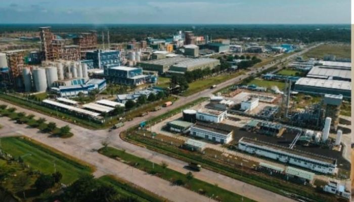 Digitalisasi Perkebunan: Subholding PalmCo Perkuat Penjagaan TBS Lewat Aplikasi Canggih Sawit Guard