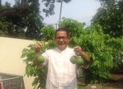 Nyawa Mahasiswi Melayang, Pengamat Unila Sentil Standar K3 Wisata Wira Garden, Safety Bukan Cuma Papan Peringatan!