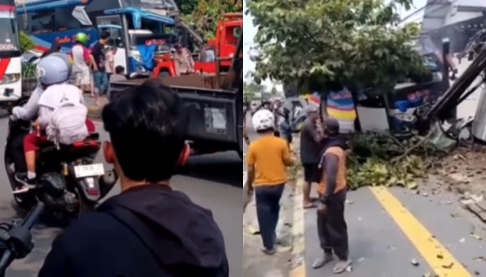 Viral Bus Mogok di Mejayan Madiun Terhantam Truk Boks, Sopir Dievakuasi Lebih dari 1 Jam usai Terjepit di Kabin