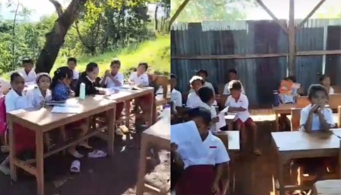  Tidak Punya Ruang Kelas, Viral Siswa SD di Manggarai Barat Belajar di Bawah Pohon