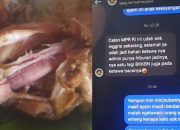  Viral Warga Pringsewu Lampung Spill Balasan Chat Admin SPPG Tambahrejo, Menertawakan Kritik soal Menu Ayam MBG Masih Berbulu