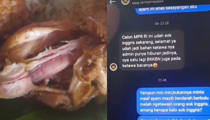  Viral Warga Pringsewu Lampung Spill Balasan Chat Admin SPPG Tambahrejo, Menertawakan Kritik soal Menu Ayam MBG Masih Berbulu