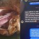  Viral Warga Pringsewu Lampung Spill Balasan Chat Admin SPPG Tambahrejo, Menertawakan Kritik soal Menu Ayam MBG Masih Berbulu