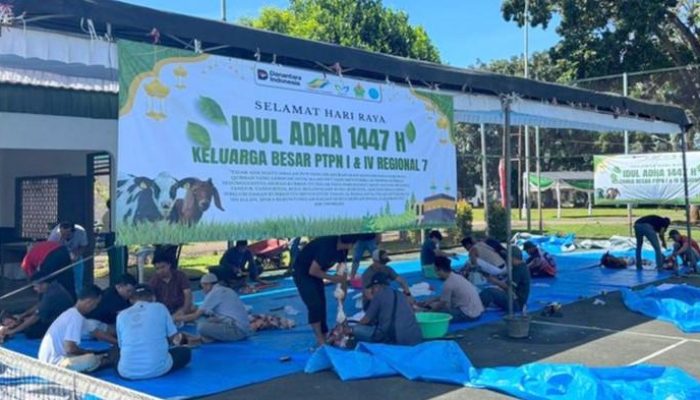 PTPN I dan PTPN IV Regional 7 Sembelih 18 Hewan Kurban