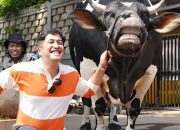 Spek Jumbo! Intip Bisnis Hewan Qurban Irfan Hakim yang Jadi Langganan Para Elit dan Artis Top