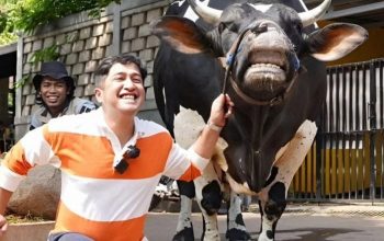 Spek Jumbo! Intip Bisnis Hewan Qurban Irfan Hakim yang Jadi Langganan Para Elit dan Artis Top