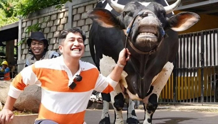Spek Jumbo! Intip Bisnis Hewan Qurban Irfan Hakim yang Jadi Langganan Para Elit dan Artis Top