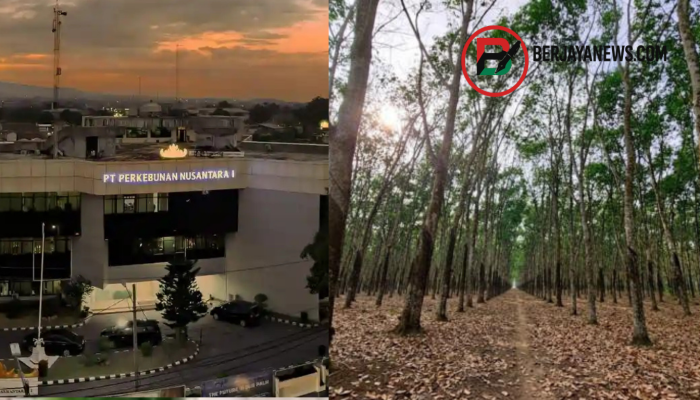 PTPN I Regional 7 Tolak Rencana Penerbitan SHM Warga di Tamansari