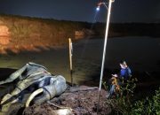 Berita Duka dari TNWK Lampung: Gajah Indra, Sang Pejuang Konservasi Berusia 42 Tahun Alami Ambruk di Rawa Sebelum Mati