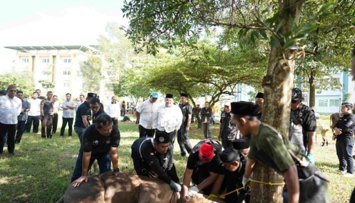 UIN Raden Intan Lampung Sembelih 19 Hewan Kurban, Ribuan Paket Daging Dibagikan untuk Sivitas dan Warga Sekitar