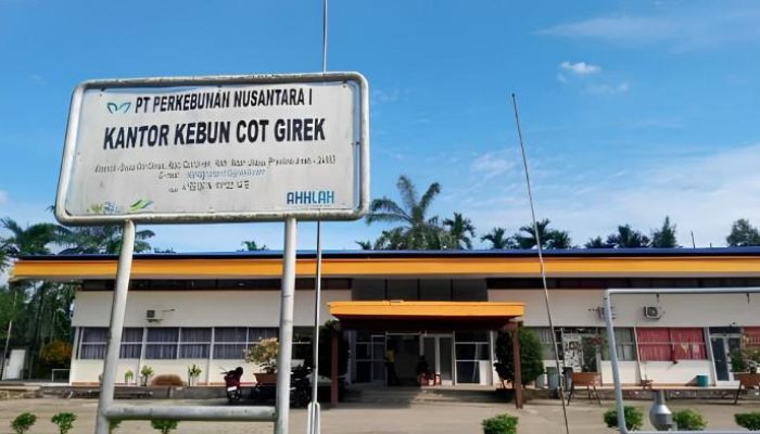 Rugi Rp62,6 Miliar dan 2.400 Buruh Tertekan, Akademisi USK Desak Penegakan Hukum & Dialog Permanen Kasus PTPN IV Cot Girek!