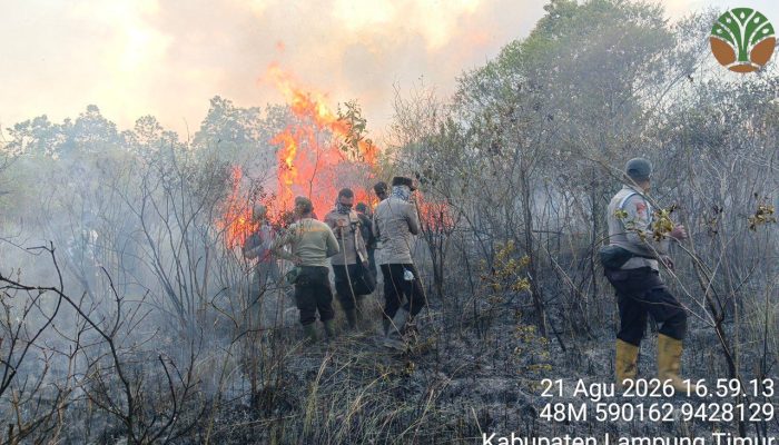 Kebakaran Hutan Way Kambas Meluas, Lahan Gambut dan Akses Sulit Hambat Pemadaman