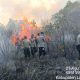 Kebakaran Hutan Way Kambas Meluas, Lahan Gambut dan Akses Sulit Hambat Pemadaman