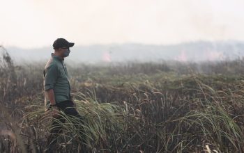 Gajah Taman Nasional Way Kambas Dipastikan Aman dari Kebakaran
