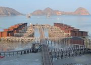 Kondisi Pantai di Labuan Bajo usai Gempa NTT, Warga Ungkap Air Laut Sempat Surut