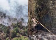 Polda Riau Tetapkan 40 Tersangka Kasus Karhutla 2026, Diduga Sengaja Bakar Lahan Demi Perkebunan 