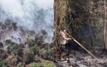 Polda Riau Tetapkan 40 Tersangka Kasus Karhutla 2026, Diduga Sengaja Bakar Lahan Demi Perkebunan 