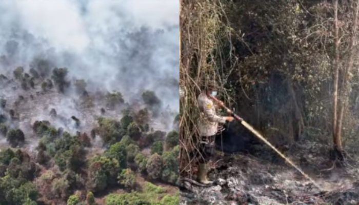 Polda Riau Tetapkan 40 Tersangka Kasus Karhutla 2026, Diduga Sengaja Bakar Lahan Demi Perkebunan 